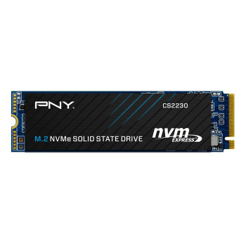 PNY M280CS2230-1TB-RB Cs2230 M.2 1000 Gb Pci M280CS2230-1TB-RB