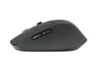 Conceptronic LORCAN02B Lorcan Ergo Mouse Right-Hand LORCAN02B