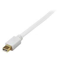 StarTech.com MDP2DVIMM3WS 3FT MDP TO DVI CABLE MDP2DVIMM3WS