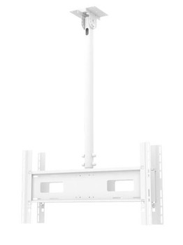 SMS 02-117-4 Func Ceiling P Large Dual 02-117-4