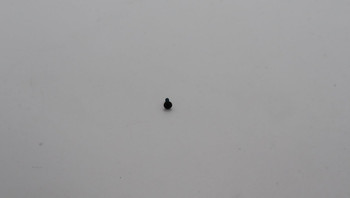 Lenovo 5S10U51662 SCREW SCREW M M2X6.5L.ZK NL 5S10U51662