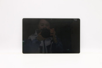 Lenovo 5D10S39728 LCD Module H 82QS SDC+Laibao 5D10S39728