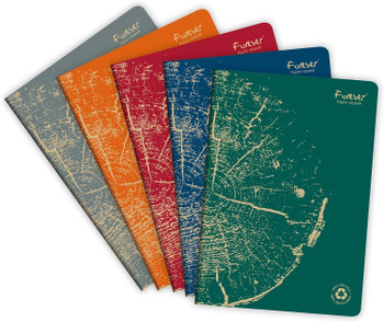 Clairefontaine forever Recycled A4 Stapled Notebooks 120 Pages 90Gsm Feint Ruled 68466C