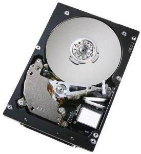HGST 08K2474-RFB 300GB Ultrastar Hard Drive 08K2474-RFB
