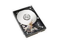 IBM 44W2234 300GB 15K 6Gbps SAS 8.9cm HS 44W2234