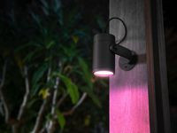 Philips by Signify 915005629801 Hue Outdoor Lily Spike Spot 915005629801