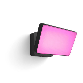 Philips by Signify 915005731401 Hue Outdoor Discover 915005731401