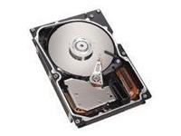 IBM 40K1039-RFB 73GB 10K Hot Swap SAS HDD 40K1039-RFB