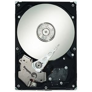 Seagate ST3250310NS-RFB 250 GB 3G 7.2K 3.5 " SATA ST3250310NS-RFB