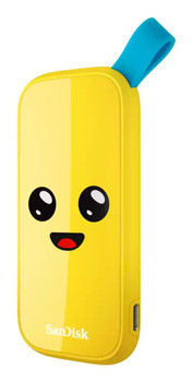 Sandisk SDSSDE30-1T00-G25F External Solid State Drive 1 SDSSDE30-1T00-G25F