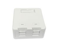 Lanview LVN127767 Surface mount box for 2 x LVN127767