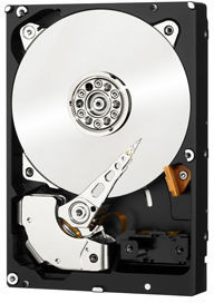 Western Digital WD3001FYYG-RFB WD RE4 3TB 7200RPM WD3001FYYG-RFB