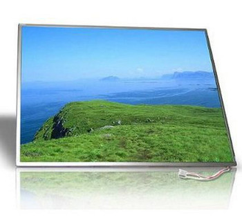 Dell DF056 LCD Display 15.4 " WXGA DF056