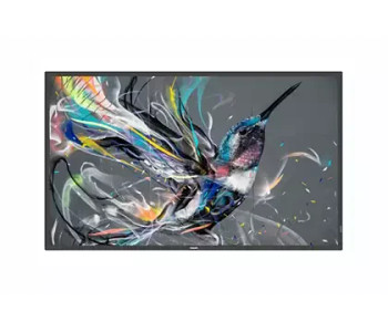 Philips 50Bdl3650q 50 " 3840 X 2160 Pixels 4K Ultra Hd Va Panel Hdmi Dvi Usb And 50BDL3650Q/00