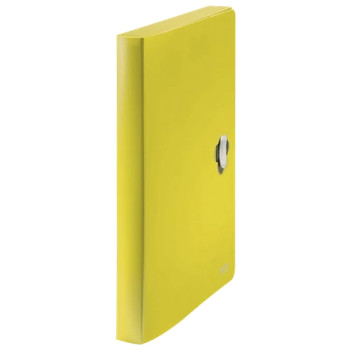 Leitz Recycle Box File CO2 neutral 46230015 46230015