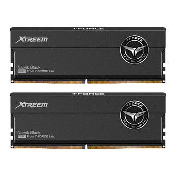 Team Group FFXD548G8000HC38EDC01 G8000Hc38Edc01 Memory Module FFXD548G8000HC38EDC01