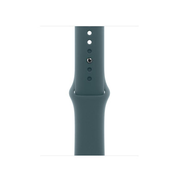 Apple MAX64ZM/A Smart Wearable Accessories MAX64ZM/A
