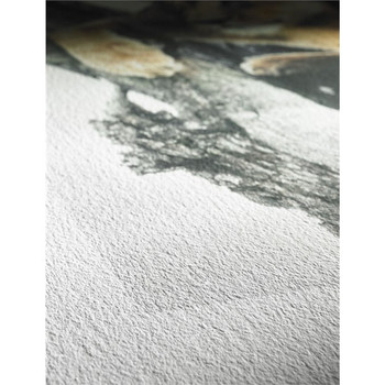 Hahnemuhle German Etching Art Paper 610mm X 12m Roll 10643123