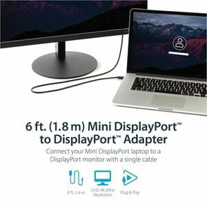 Startech 6 Ft Mini Displayport To Displayport 1.2 Adapter Cable M/M Displayport MDP2DPMM6