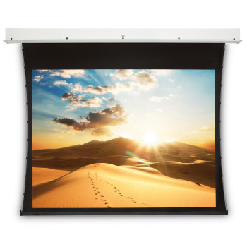 Projecta 10105071 Screen Surface Assembly 10105071