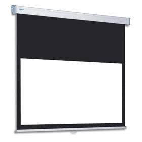Projecta 10200045 ProScreen CSR with extended 10200045