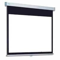 Projecta 10200050 ProScreen CSR with extended 10200050