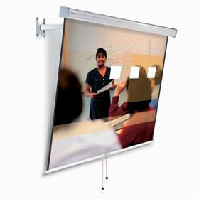Projecta 10240058 FlexScreen 140x140 Matte 10240058
