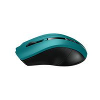 Canyon CNE-CMSW05G Mouse Rf Wireless Optical CNE-CMSW05G