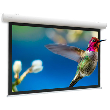 Projecta 10103527 Elpro Concept WS 174x310 High 10103527