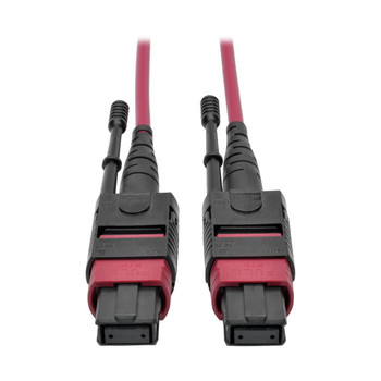 Tripp Lite N845-10M-12-MG 100G Mtp/Mpo Multimode Om4 N845-10M-12-MG