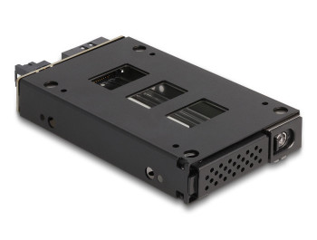 Delock 47005 Slim Bay Mobile Rack for 1 x 47005