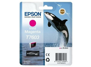 Epson C13T76034N10 ink cartridge 1 pcs Original Vivid magenta C13T76034N10