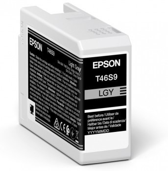 Epson UltraChrome Pro Original Light grey 1 pcs C13T46S900