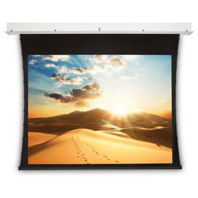 Projecta 10105948 Screen Surface Assembly 10105948