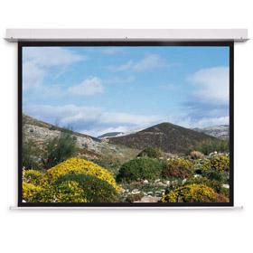 Projecta 10105843 Screen Surface Assembly 10105843