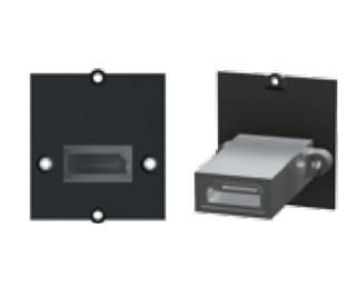 Bachmann 917.145 Custom module - DisplayPort 917.145