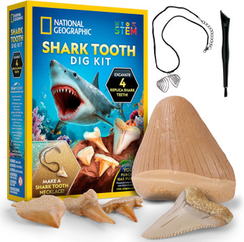 National Geographic Shark Tooth Dig Kit NG2689