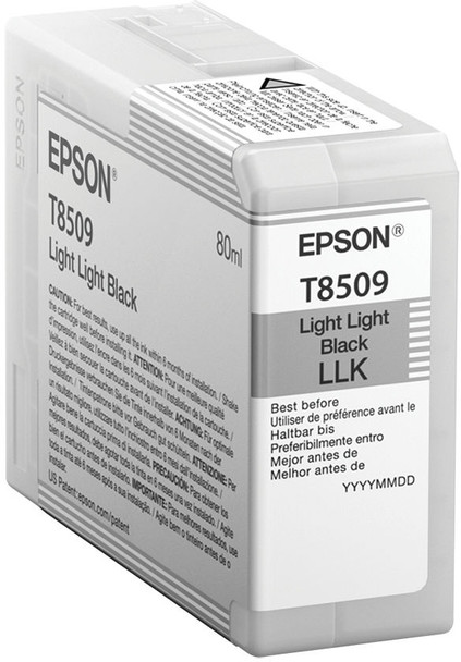 Epson C13T850900 Ink Light Light Black C13T850900