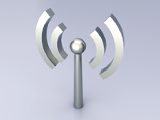 Zebra AN2030 Whip Antenna.Stubby Dual AN2030