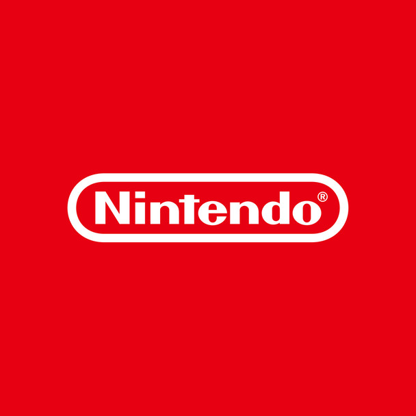 Nintendo Switch Animal Crossing New Horizons 10002045