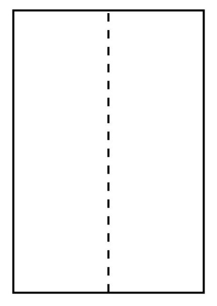 Capture SHIPLABEL105X297-I2P Ship-label 105 x 297mm. for SHIPLABEL105X297-I2P