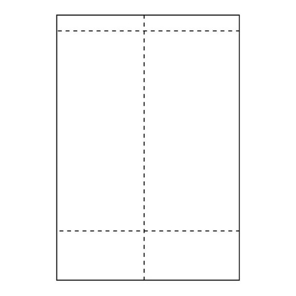 Capture SHIPLABEL105X270-I2PR Ship-label 105 x 270mm. for SHIPLABEL105X270-I2PR