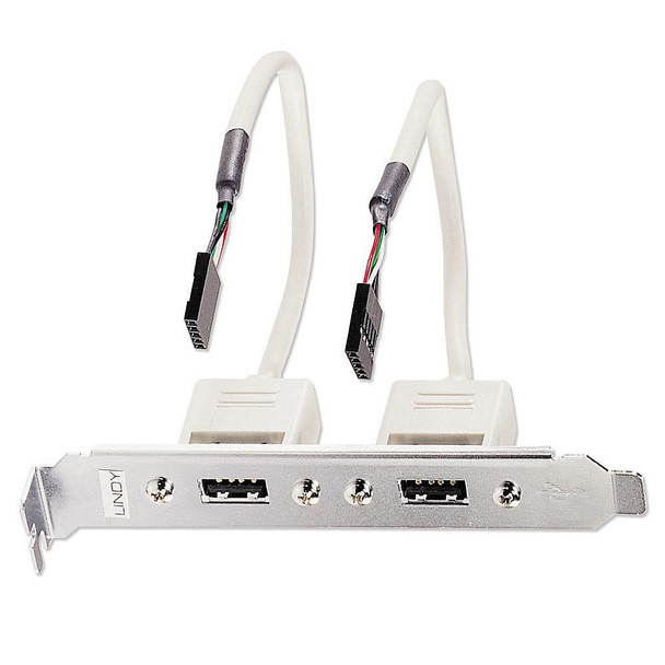 Lindy 33147 PC Back Plate. USB 2.0. 2 Port 33147