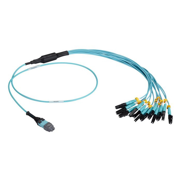 Black Box FOHC20M3MPLC12AQ-2R2 MTP PRO TO X12 LC OM3 HARNESS FOHC20M3MPLC12AQ-2R2 Black Box FOHC20M3MPLC12AQ-2R2 MTP PRO TO X12 LC OM3 HARNESS FOHC20M3MPLC12AQ-2R2