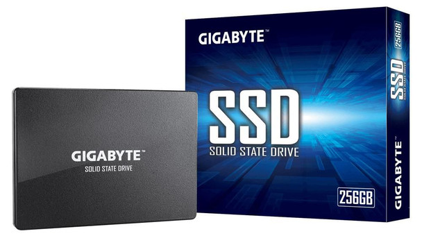 Gigabyte GP-GSTFS31256GTND Internal Solid State Drive GP-GSTFS31256GTND