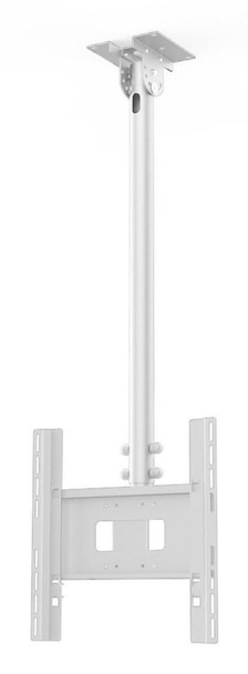 SMS 02-116-4 Func Ceiling P Large Single 02-116-4