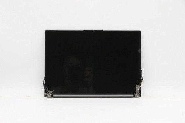Lenovo 5D10S39711 LCD MODULE H 20WH 5D10S39711