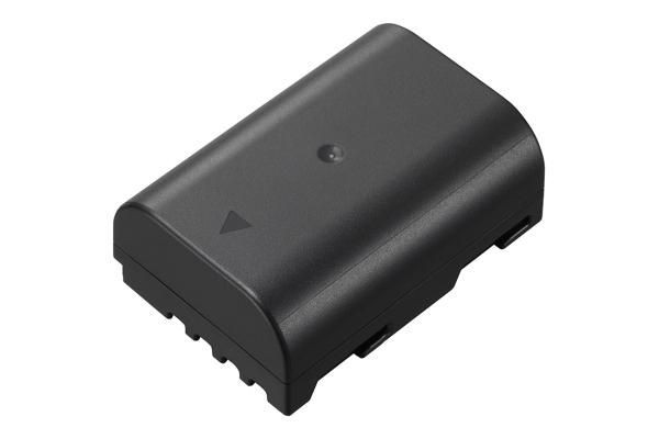 Panasonic DMW-BLF19E Battery for Grip GH3 DMW-BLF19E