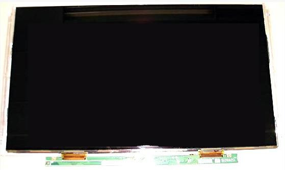 Dell XX31G LCD Display 13.3 " XX31G