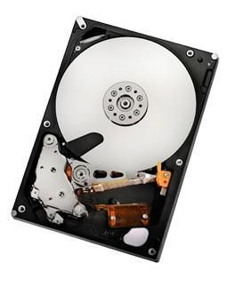 HGST HUA722020ALA330-RFB 2TB SATAII 32MB. RAID HUA722020ALA330-RFB